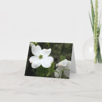 Delikat Dogwood Notecard