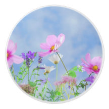 Delikat färger för sötblommor