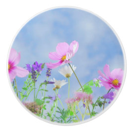 Delikat färger för sötblommor knopp