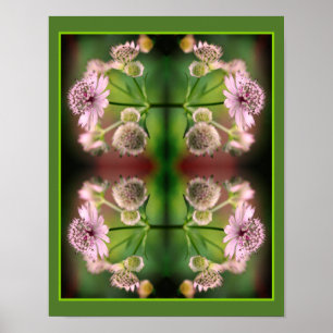 Delikat Flowers Spegel Abstrakt Poster