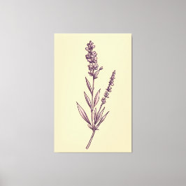 Delikat Lavender Sprig på Cream BackDrop Canvastryck