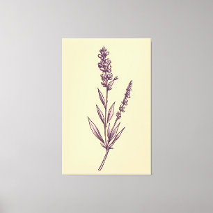 Delikat Lavender Sprig på Cream BackDrop Canvastryck
