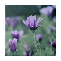 Delikat Lila Lavender Flowers
