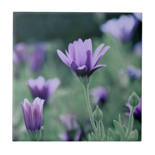 Delikat Lila Lavender Flowers Kakelplatta