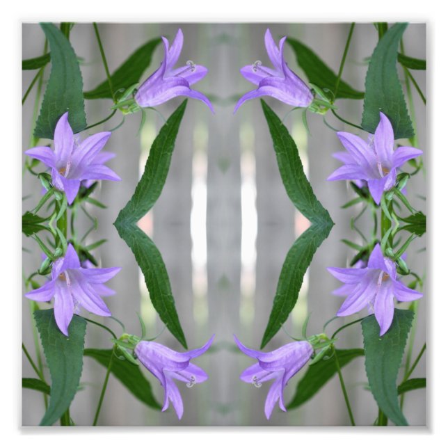 Delikat Lila Lily Flowers Spegel Abstrakt 8x8 Fototryck (Framsidan)