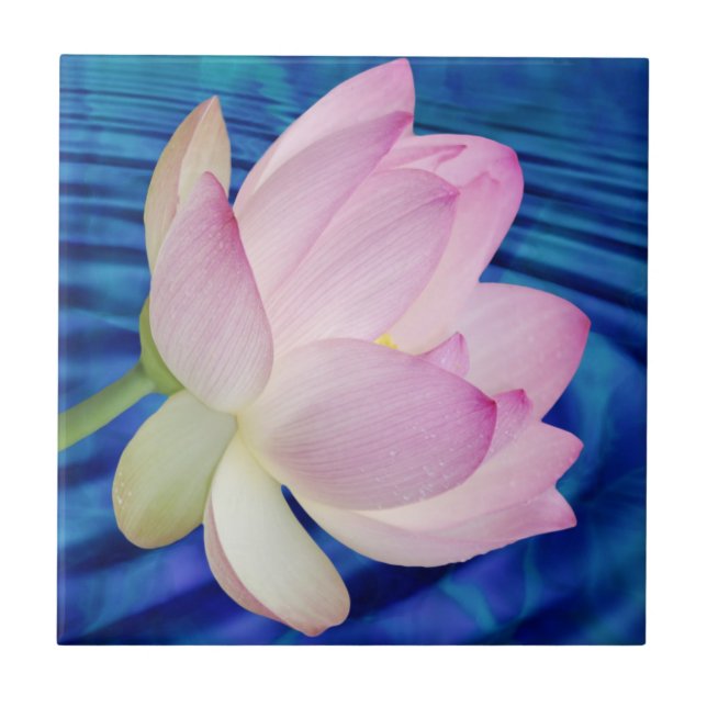 Delikat Lotus-blomma och mening Kakelplatta (Framsidan)