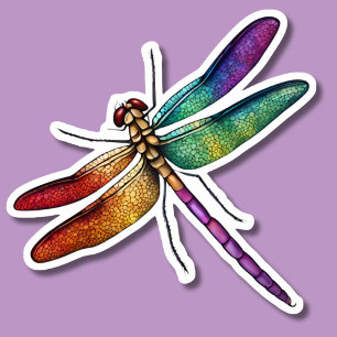 Delikat Rainbow Dragonfly Klistermärken
