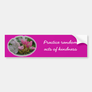 Delikat rosa Azaleas Bildekal