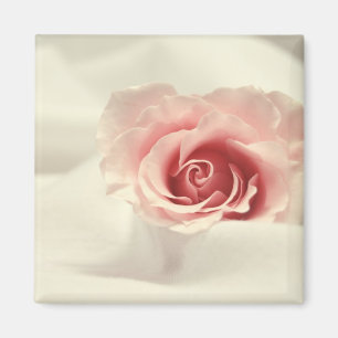 Delikat rosa magnet
