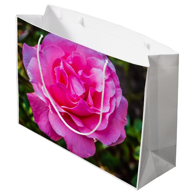 Delikat rosa ros. (Baksidan Vinklad)