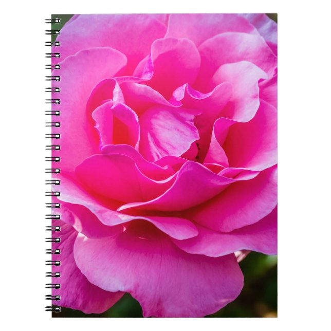 Delikat rosa ros. anteckningsbok (Framsidan)