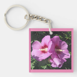 Delikat Rosa ros i Sharon Photo