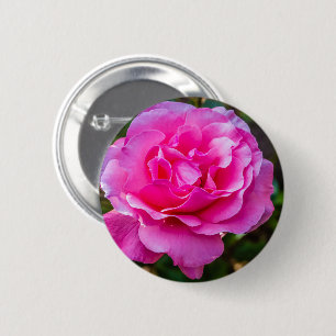 Delikat rosa ros. knapp