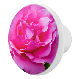 Delikat rosa ros. knopp