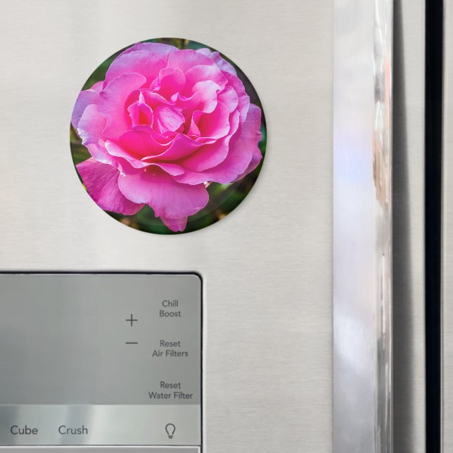 Delikat rosa ros. magnet (In Situ (Fridge))