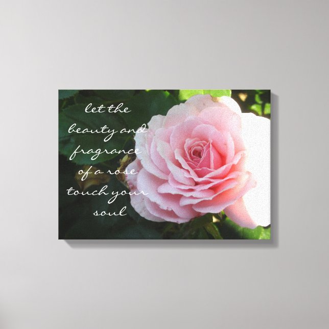 Delikat Rosa ros med att säga Canvastryck (Framsida)