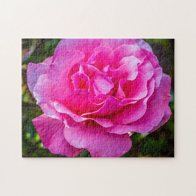 Delikat rosa ros. pussel (Horisontell)