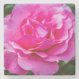 Delikat rosa ros. stenunderlägg