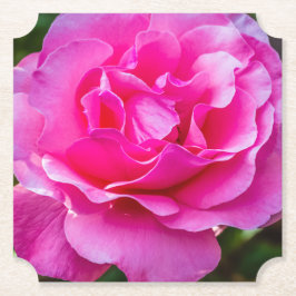 Delikat rosa ros. underlägg papper