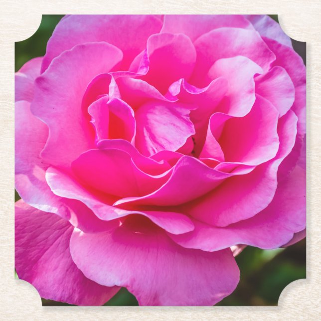 Delikat rosa ros. underlägg papper (Framsida)