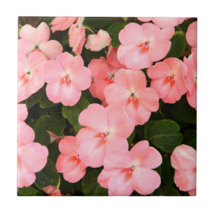 Delikat rosa vår blommor kakelplatta