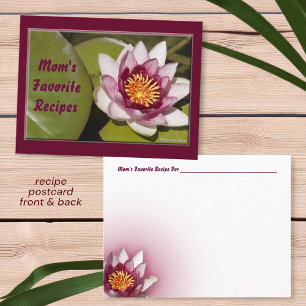 Delikat Rosa Vatten Lily Flower Photo Recipe Vykort