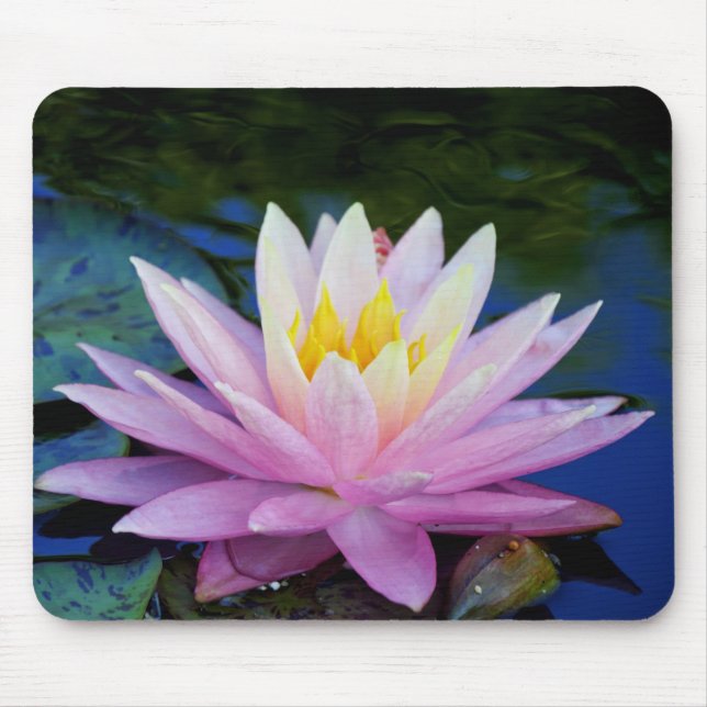 Delikat Waterlily Mousepad Musmatta (Framsidan)