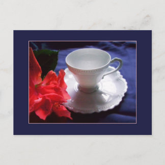 Delikat White Demitasse Vykort