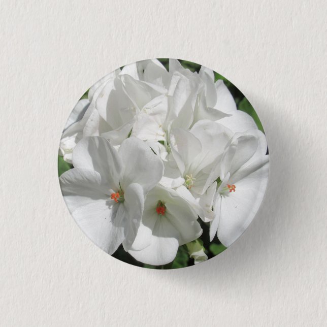 Delikat White Geranium Flower Photo Knapp (Framsida)
