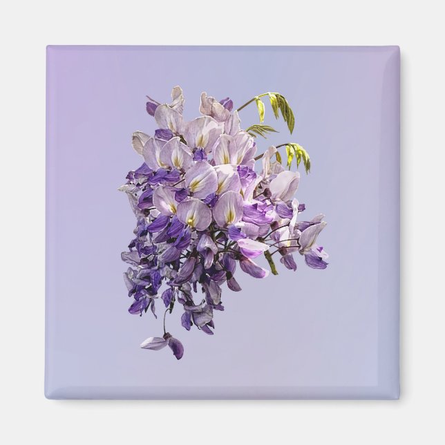 Delikat Wisteria Magnet (Framsidan)