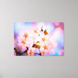 Delikata Sakura Flowers Canvastryck