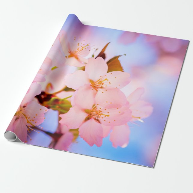 Delikata Sakura Flowers Presentpapper (Utrullad)