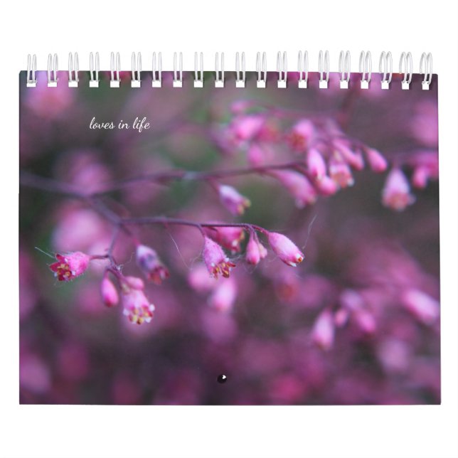 Delikata sommarblommor kalender (Omslag)