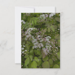 Delikata vita sommarblommor anteckningskort