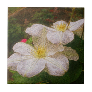 Delikata White Clematis Flower Kakelplatta