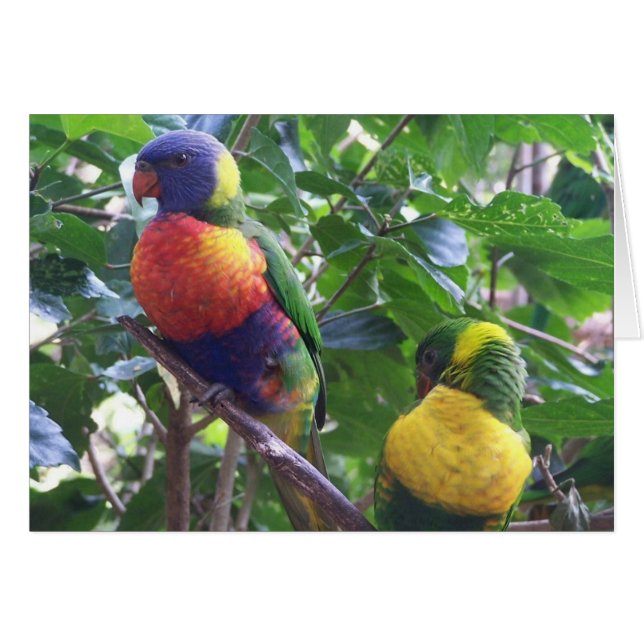 Delkort Hälsningskort (Framsidan Horizontal)