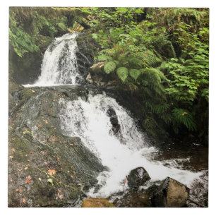 Dell Falls, ELLER Kakelplatta