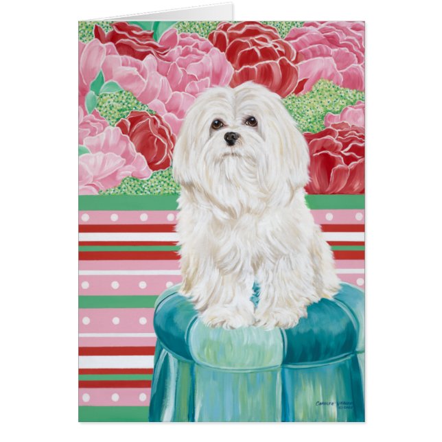 Della Ro maltesiska Hälsningskort (Framsidan)