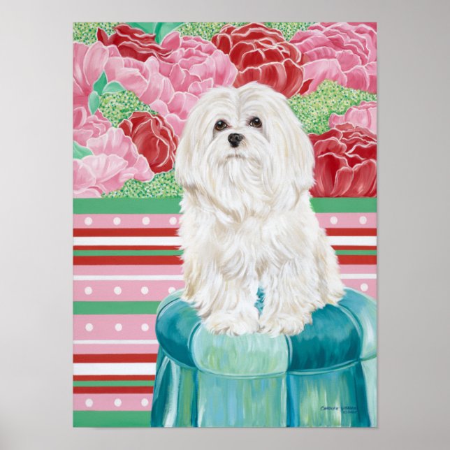 Della Ro maltesiska Poster (Framsidan)