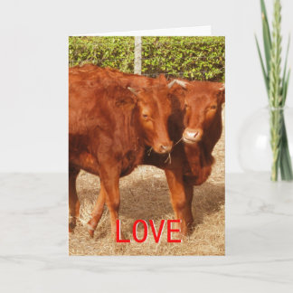 Delning av kärlek helgkort