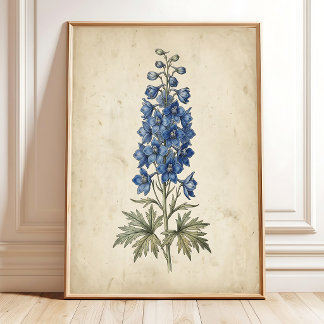 Delphinium Blommig Antik Väggkonsttryck Poster
