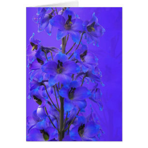Delphinium-kort för fotografiskt bruk hälsningskort