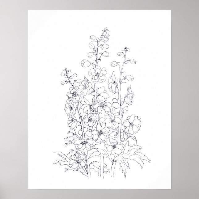 delphinium larkspur blomma teckning poster (Framsidan)