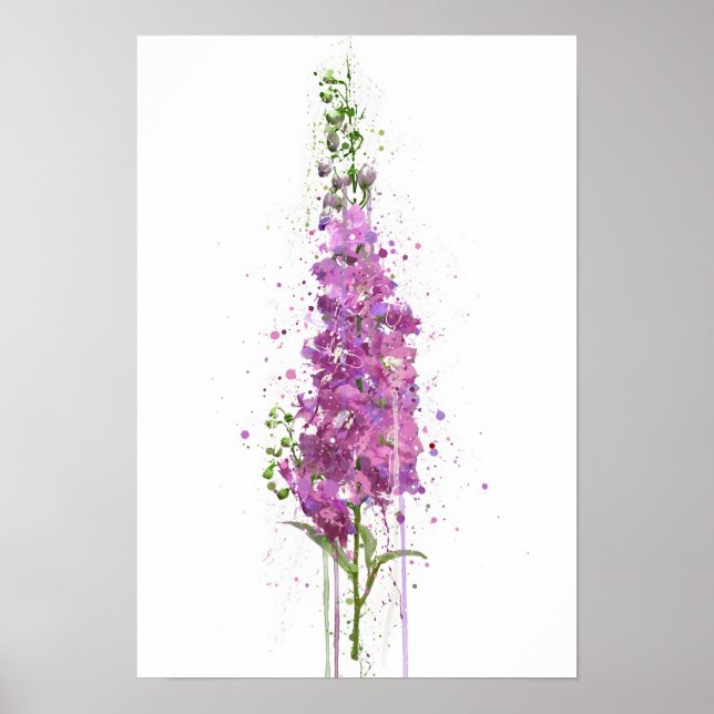 Delphiniums Poster (Framsidan)