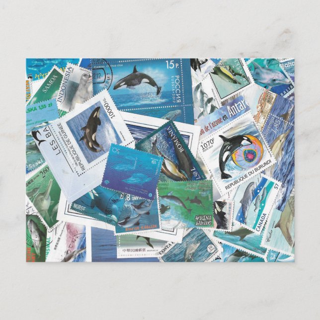 Delphins frimärke vykort (Framsida)