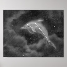 Delphinus Constellation Dolphin Poster
