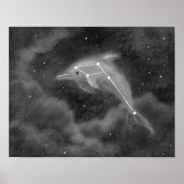 Delphinus Constellation Dolphin Poster