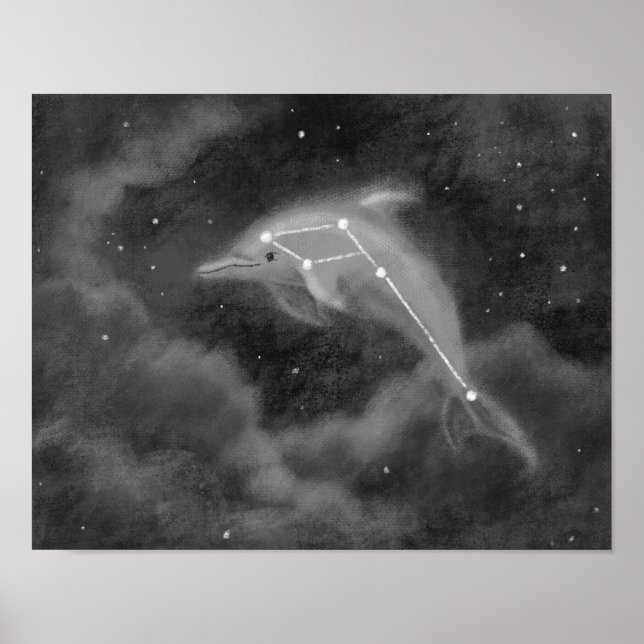 Delphinus Constellation Dolphin Poster (Framsidan)