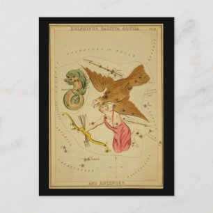 Delphinus, Sagitta, Aquila och Antinous Vykort