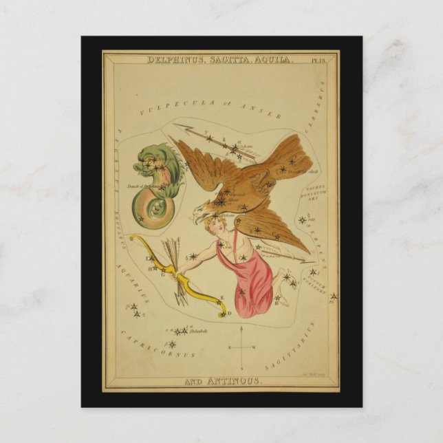Delphinus, Sagitta, Aquila och Antinous Vykort (Framsida)
